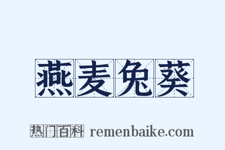 燕麦兔葵是什么意思的图片